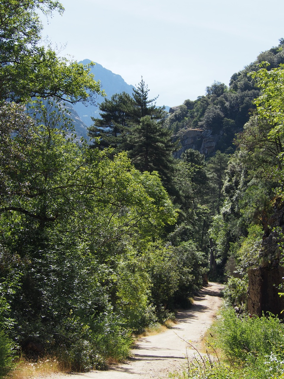 rando famille corse