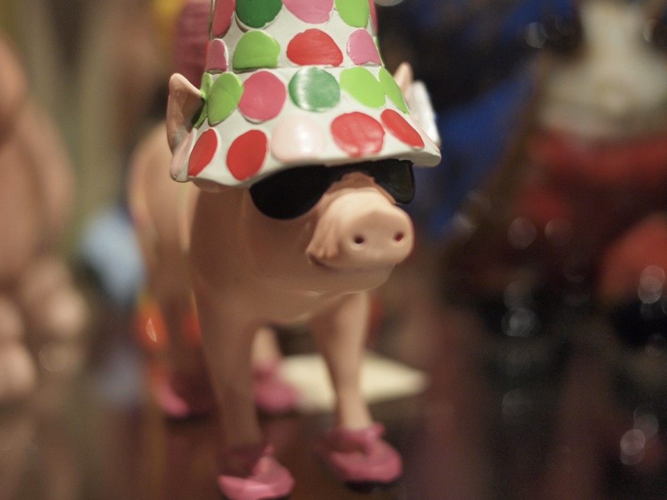 musée du cochon stuttgart