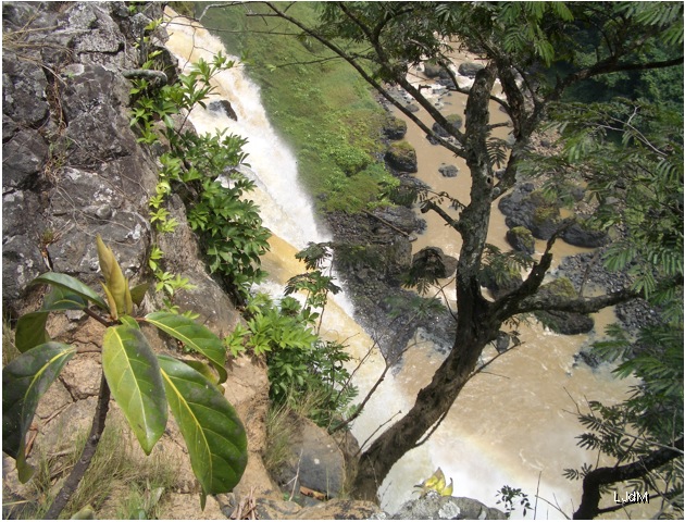 cameroun