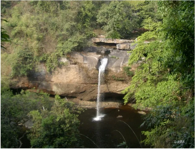 cascade