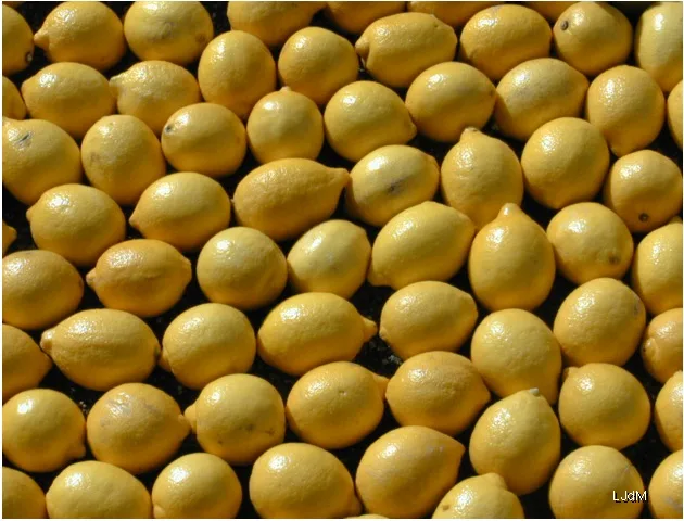 citron