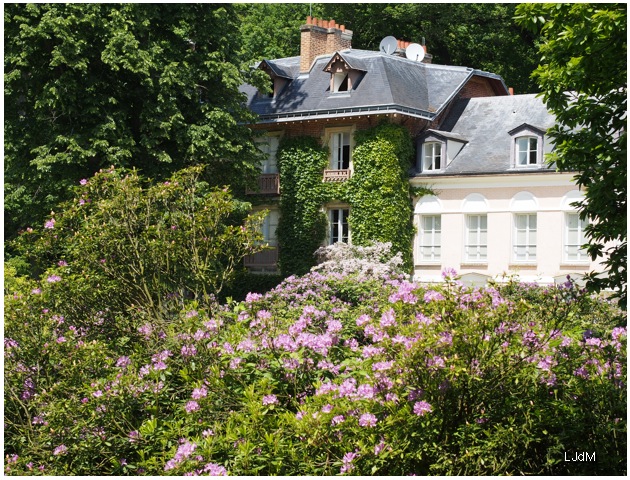 fleurs_chateaubriand