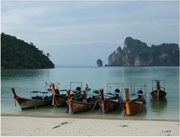 kho_phi_phi_bateau