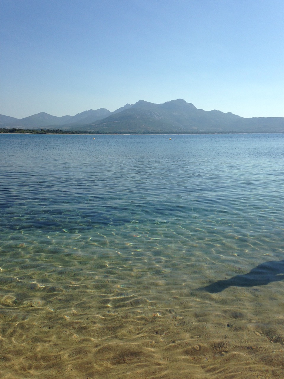 plage Calvi