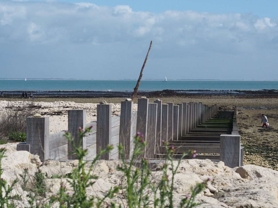 loix ile de ré