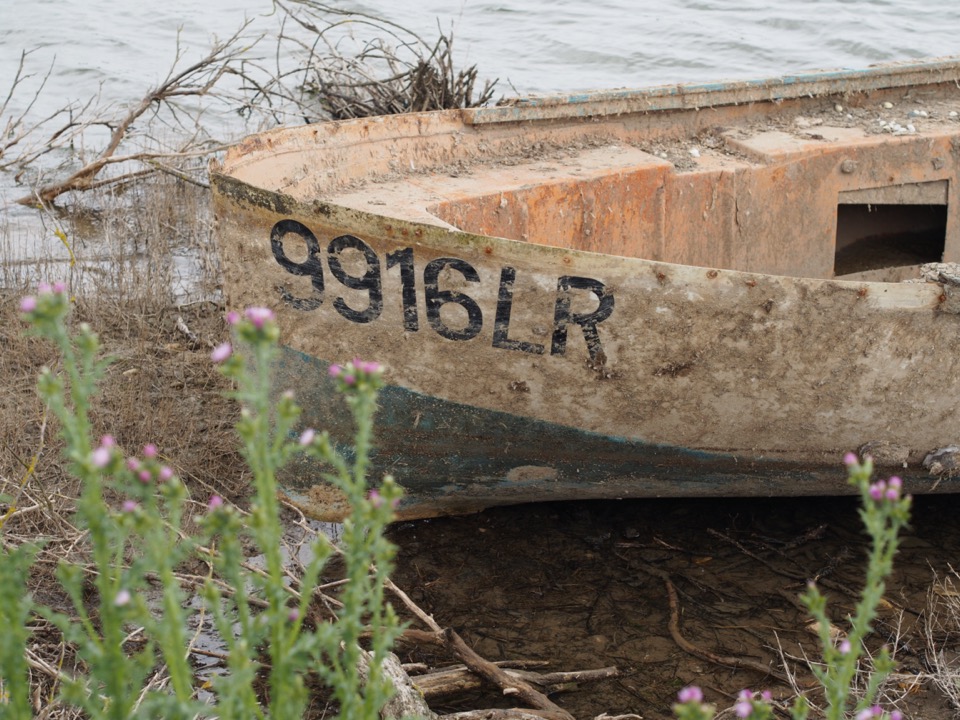 balade ile de ré