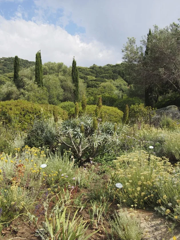 Jardin méditerranéen au Parc de Saleccia en Corse