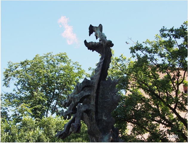 dragon_feu