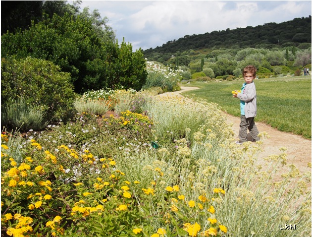 sentier_saleccia
