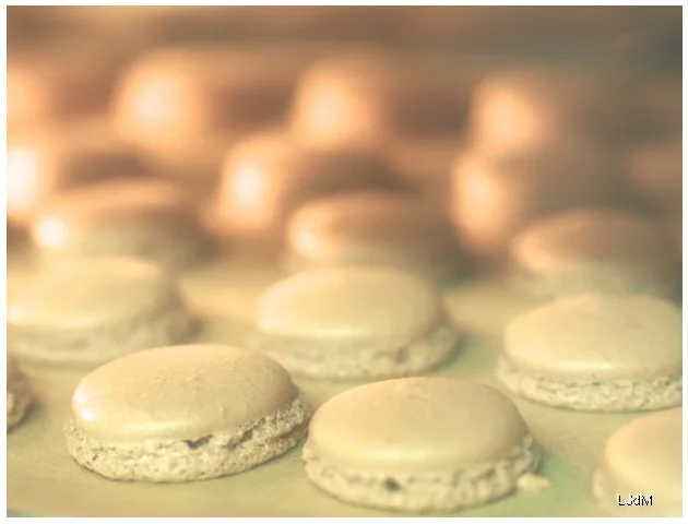 macarons
