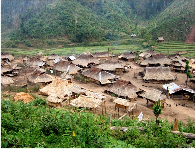 village_vue
