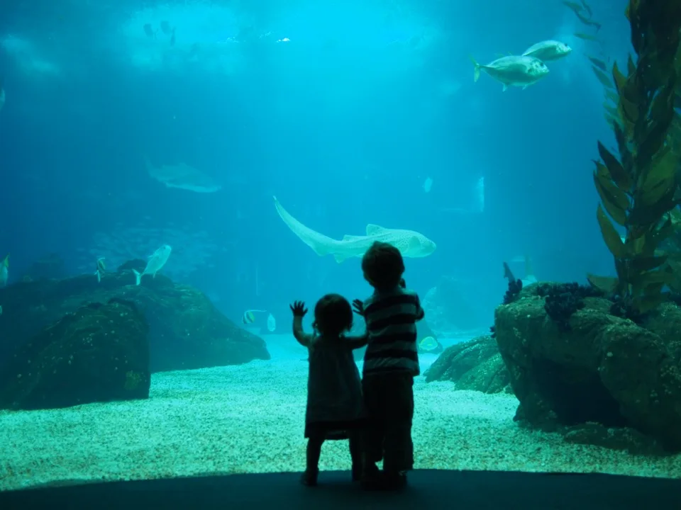 visiter Lisbonne avec les enfants