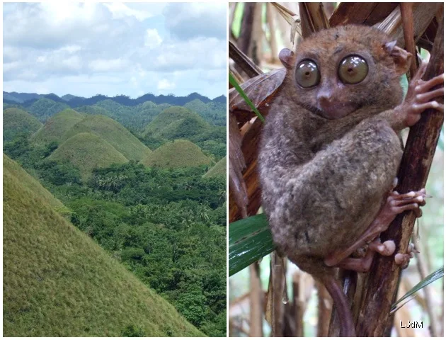 bohol
