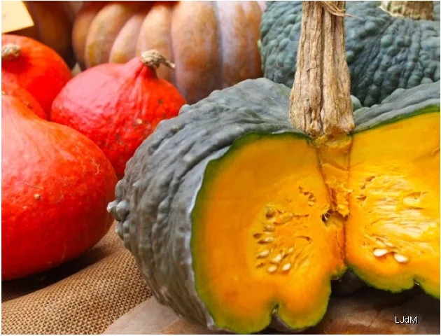 citrouille