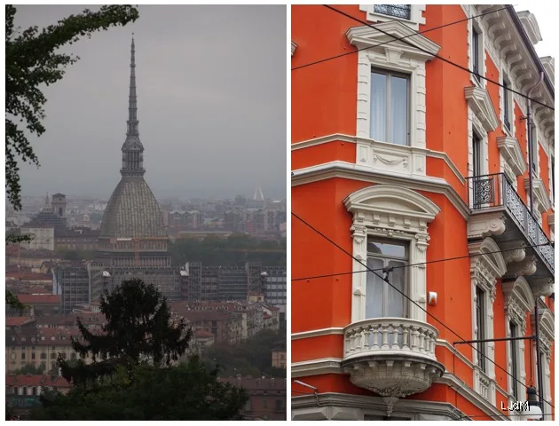 mole_turin