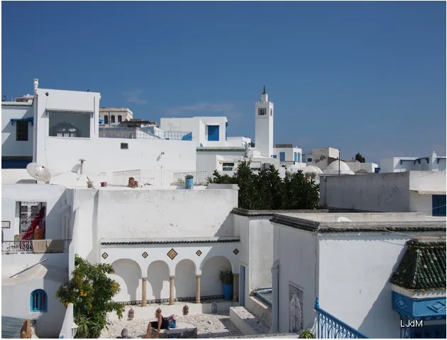 vue_sidi_boussaid