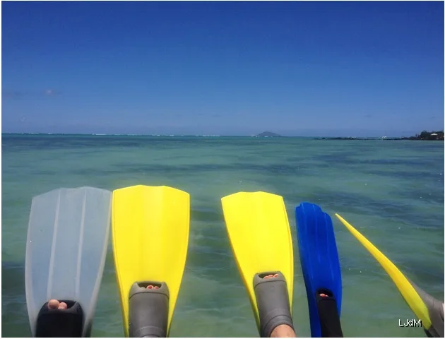 Palmes de snorkeling surplombant un lagon mauricien