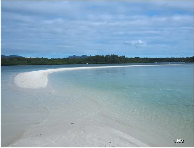 Banc de sable blanc serpentant à travers le lagon de l'Île aux Cerfs
