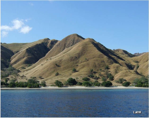 komodo_sea
