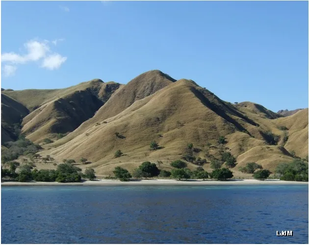 komodo_sea