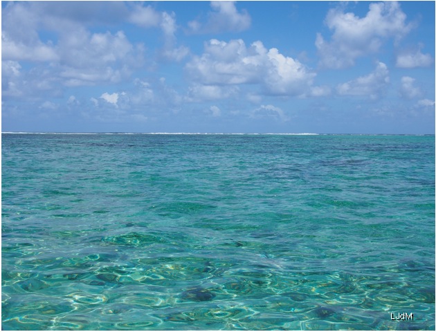 mer_maurice