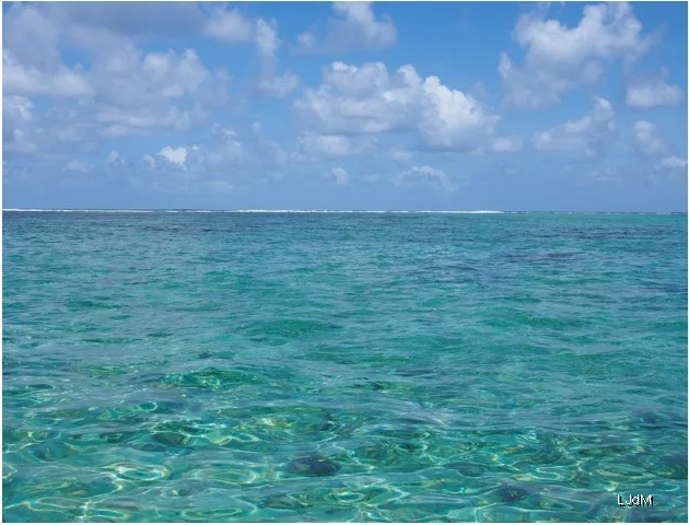 Mer turquoise limpide à Maurice