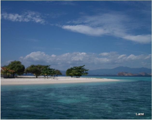 paradis