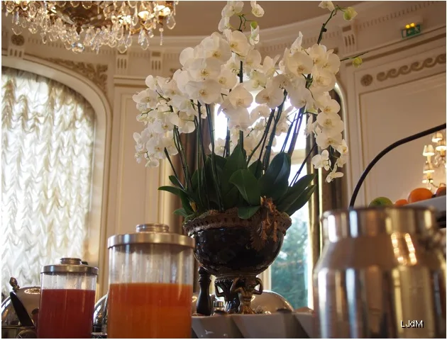 Orchidées blanches à côté des distributeurs de jus de petit-déjeuner