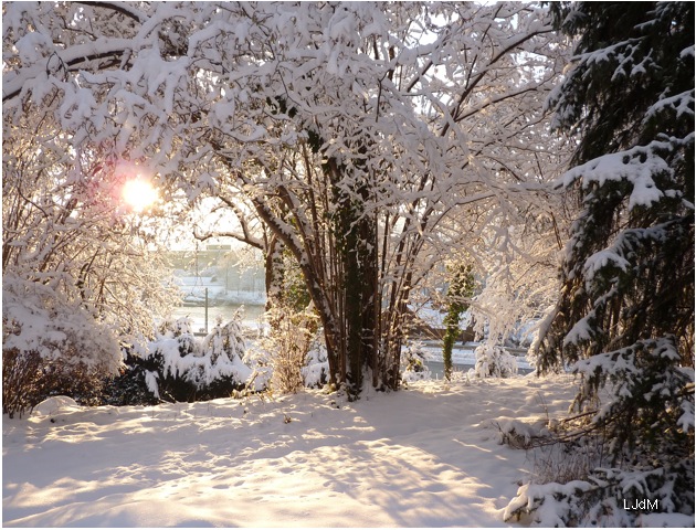 Irez-vous à la neige pour Noël cette année ?