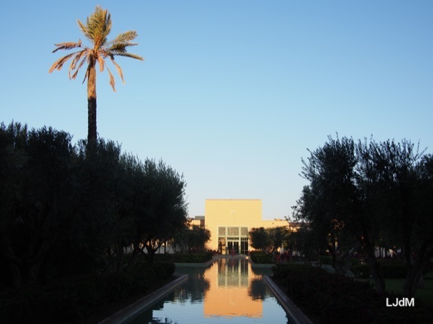 De retour de Marrakech