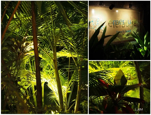 Végétation tropicale illuminée de nuit à l’hôtel Émeraude Beach