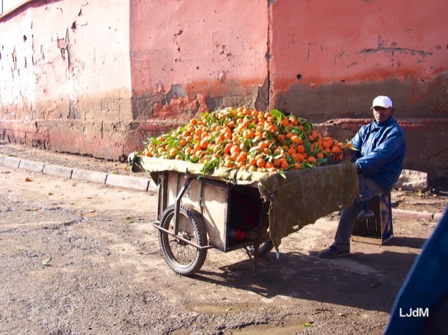 De retour de Marrakech