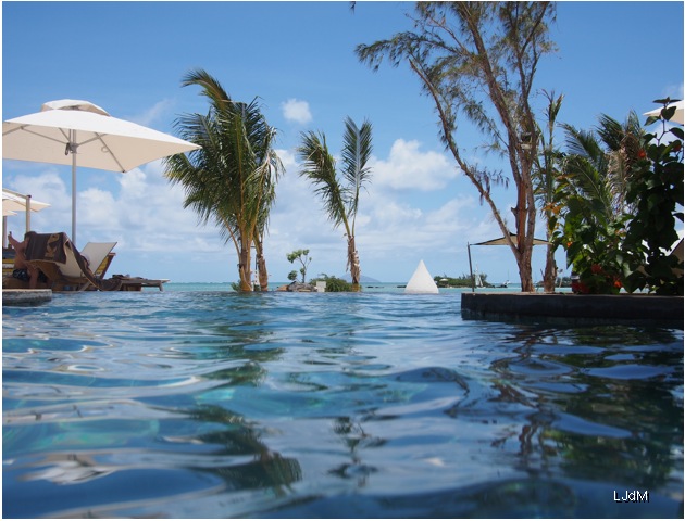 vue_piscine