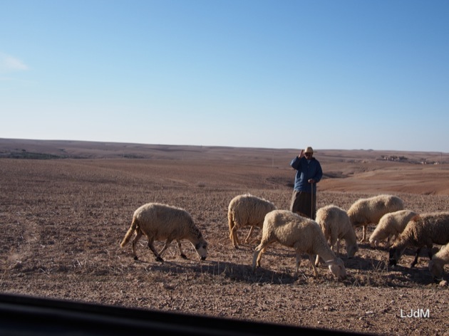 Balade en 4x4 autour de Marrakech