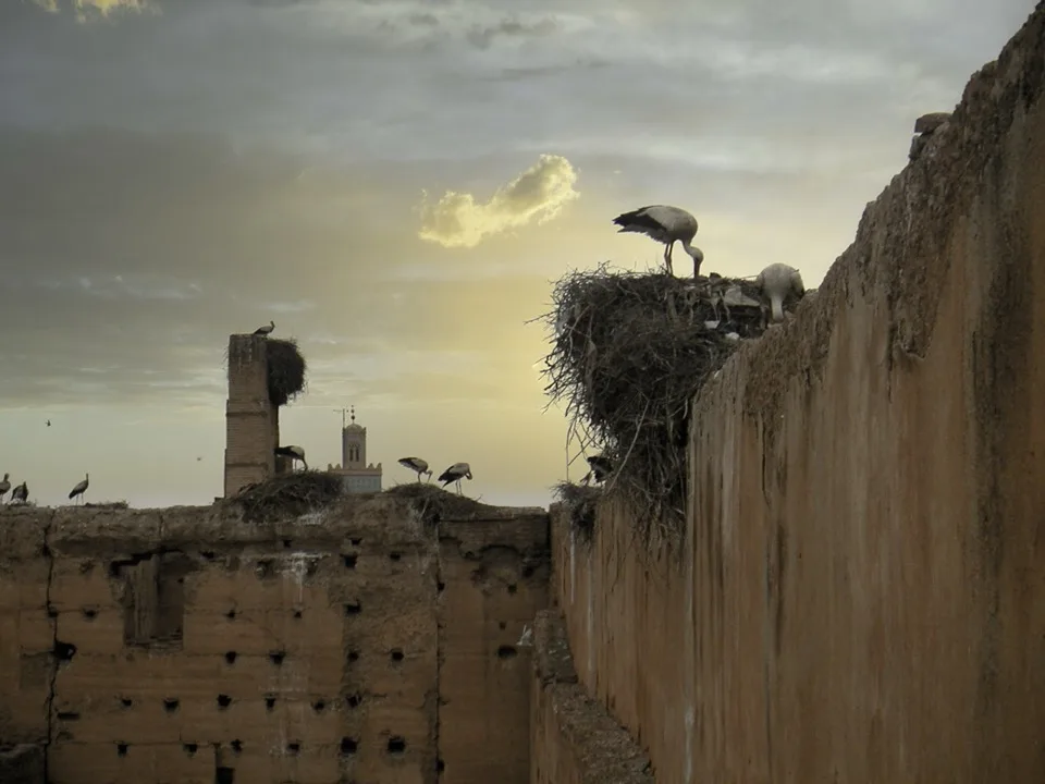 palais_el_badi