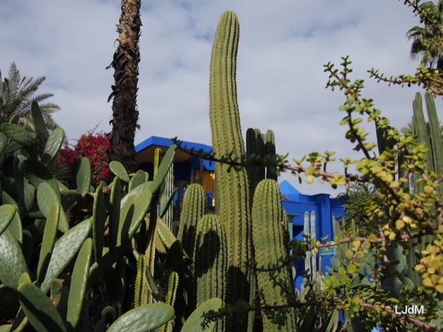 Le Jardin Majorelle à Marrakech