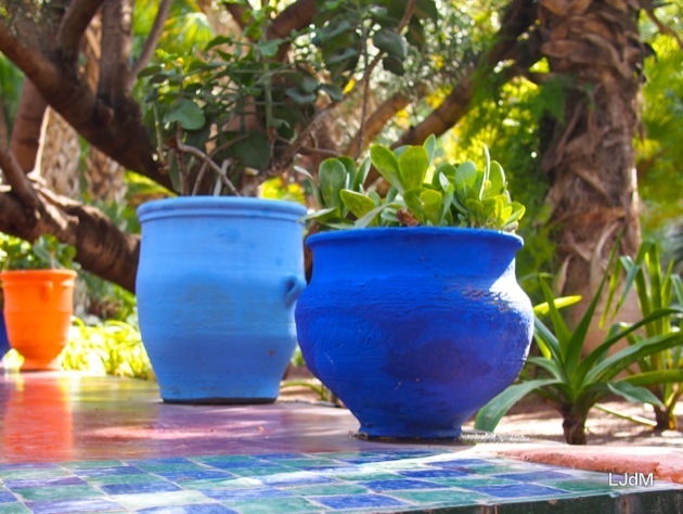 Le Jardin Majorelle à Marrakech