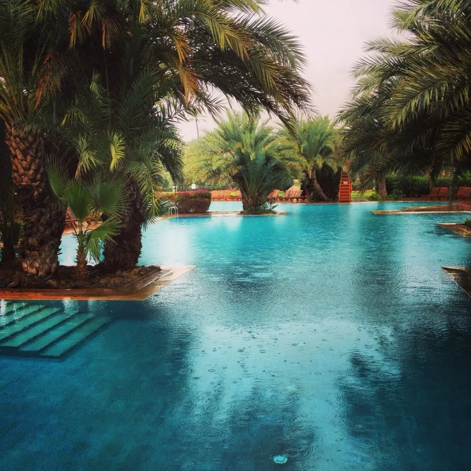 Piscine extérieure entourée de palmiers à Marrakech