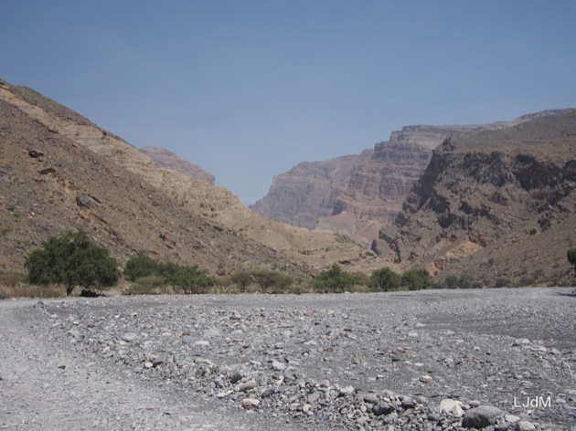 Notre voyage à Oman avec les enfants