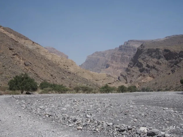 Notre voyage à Oman avec les enfants