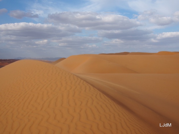 Glamping en famille dans le désert à Oman