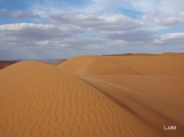 Dunes de sable doré sous un ciel nuageux