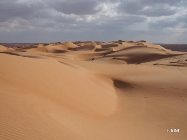 Dunes formées par le vent sous un ciel nuageux à Oman