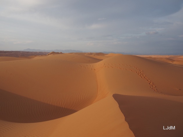 Glamping en famille dans le désert à Oman