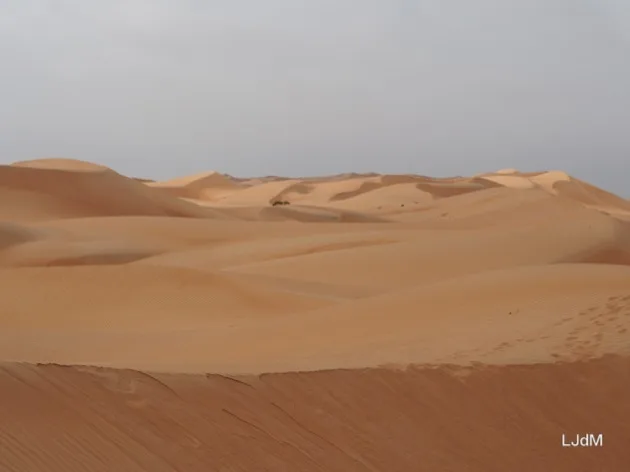 Vue panoramique sur les dunes d'Oman