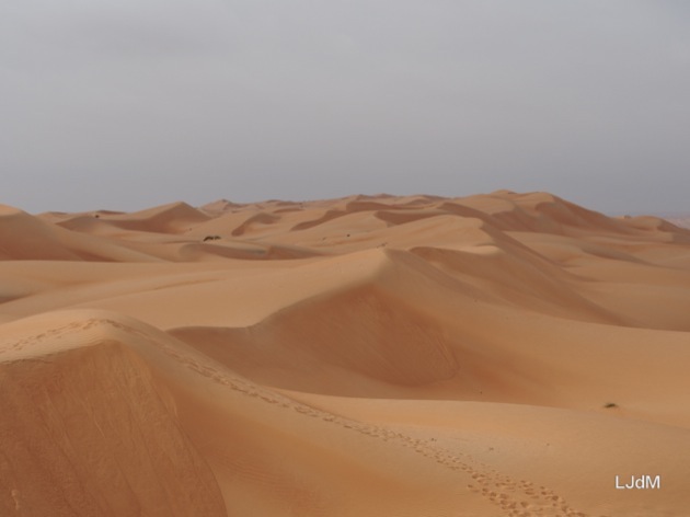 Glamping en famille dans le désert à Oman