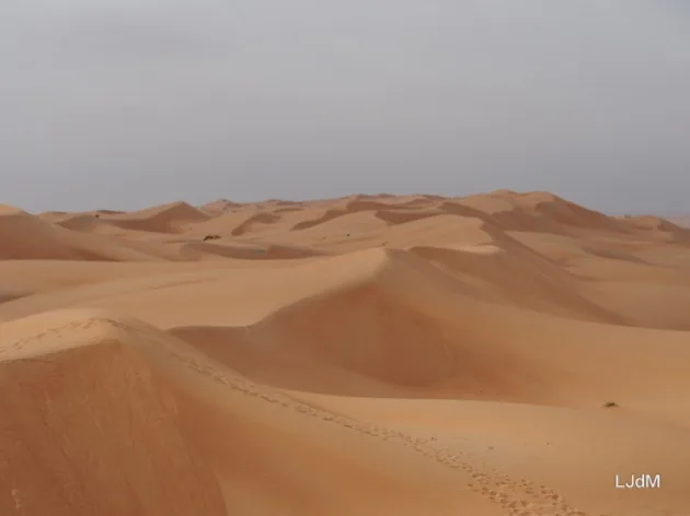Dunes de sable en couches dans le désert omanais