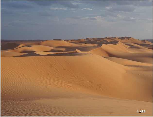 desert_oman_dune