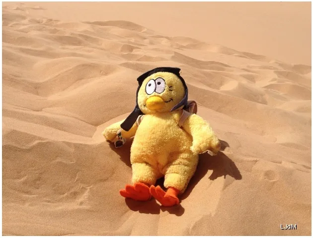 Jouet oiseau en peluche assis sur une dune de sable