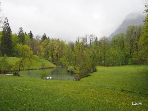 Étang et pelouses du parc de Linderhof sous les montagnes embrumées